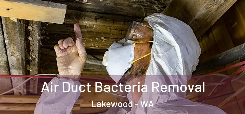  Air Duct Bacteria Removal Lakewood - WA
