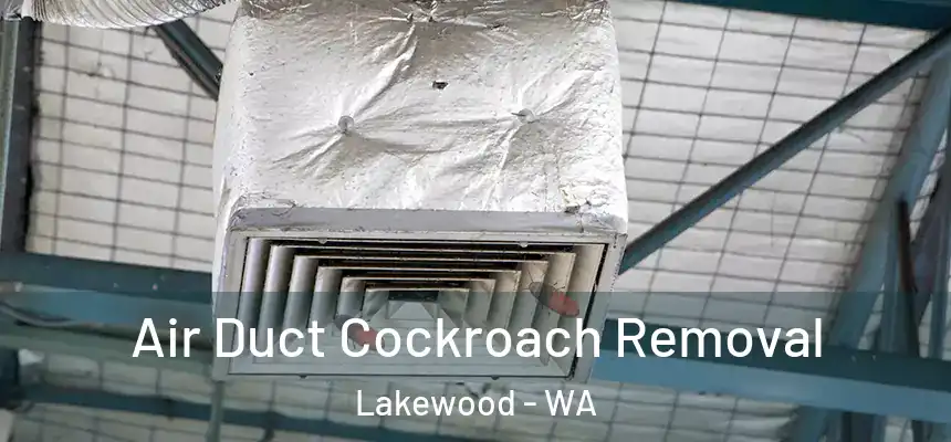  Air Duct Cockroach Removal Lakewood - WA