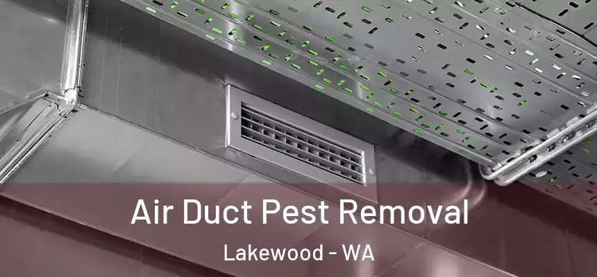 Air Duct Pest Removal Lakewood - WA
