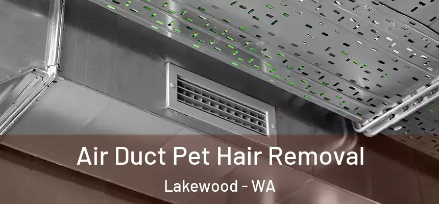 Air Duct Pet Hair Removal Lakewood - WA