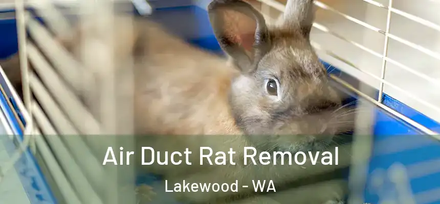  Air Duct Rat Removal Lakewood - WA