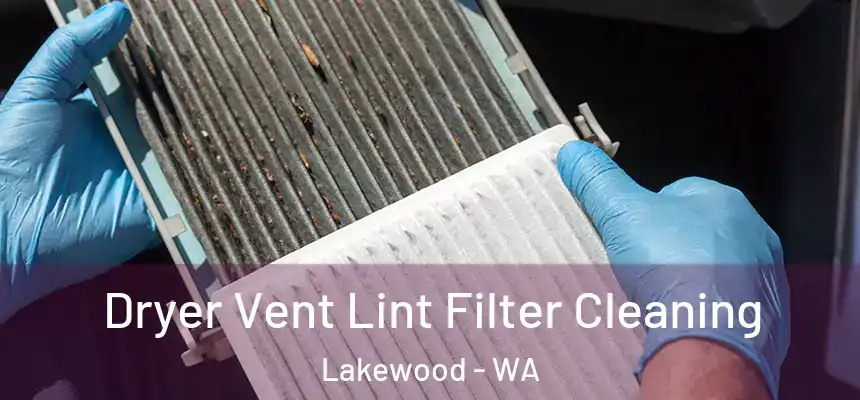  Dryer Vent Lint Filter Cleaning Lakewood - WA