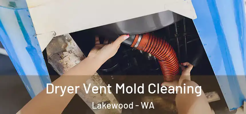  Dryer Vent Mold Cleaning Lakewood - WA