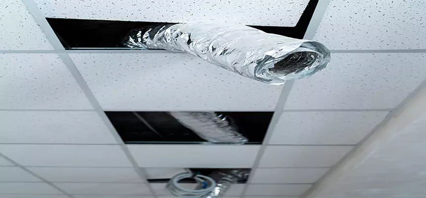 Our Air Duct Pet Hair Removal Services in Lakewood, WA