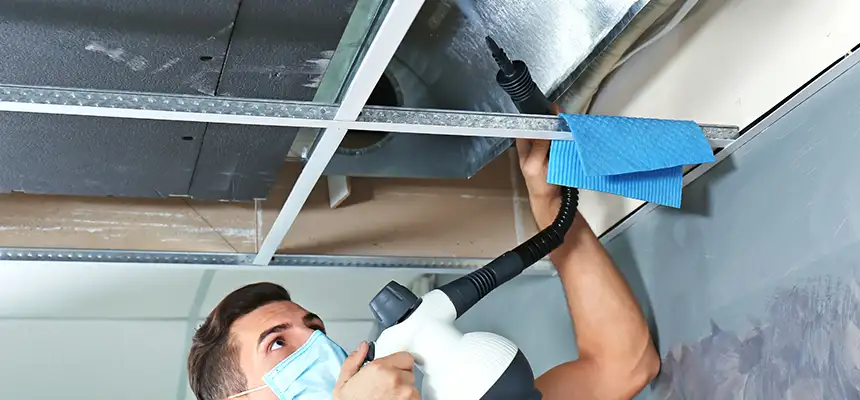 Our Air Duct Rodent Removal Services in Lakewood, WA