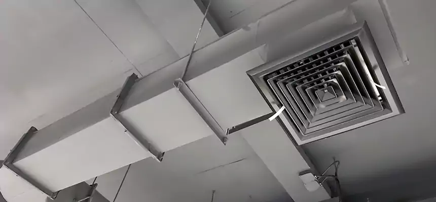 Our Pest Removal From Ducts Services in Lakewood, WA