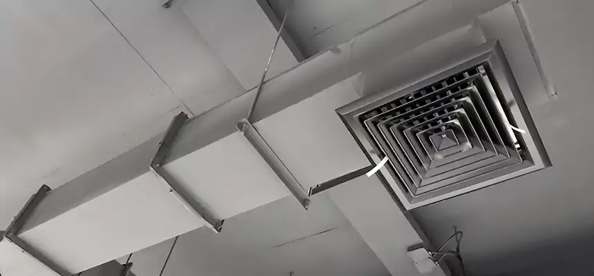 Our Rodent Droppings In Vents Services in Lakewood, WA