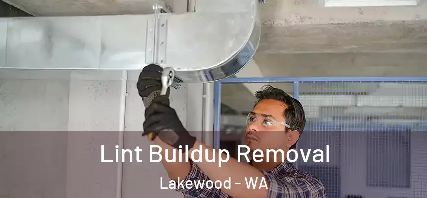  Lint Buildup Removal Lakewood - WA
