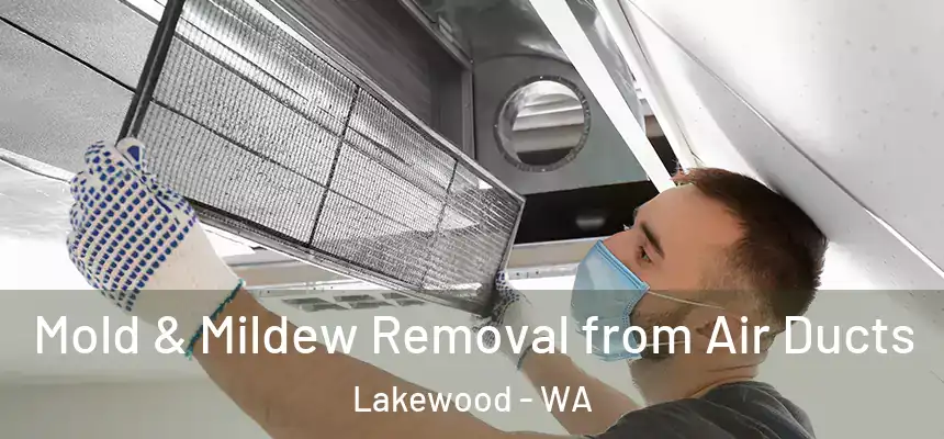 Mold & Mildew Removal from Air Ducts Lakewood - WA