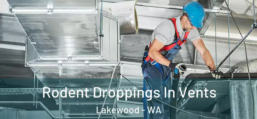  Rodent Droppings In Vents Lakewood - WA