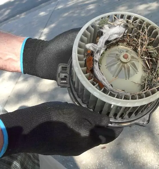 About Air Duct Rat Removal in Lakewood, WA