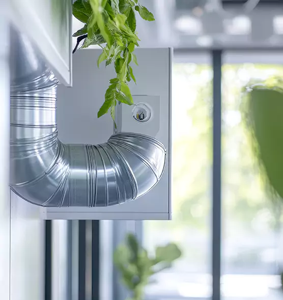 Professional Eco-Friendly Duct Cleaning Services in Lakewood, WA