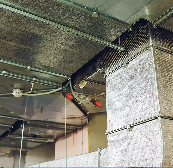 Why Homeowners & Businesses Trust Us in Lakewood, WA?