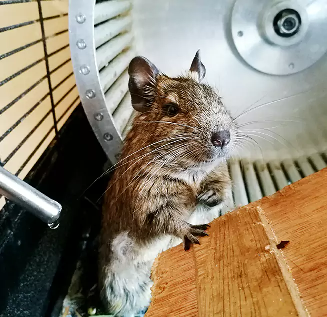 Why Homeowners & Businesses Trust Us Lakewood, WA