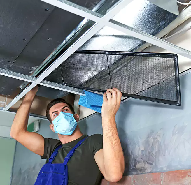 Why Homeowners Businesses Trust Us in Lakewood, WA