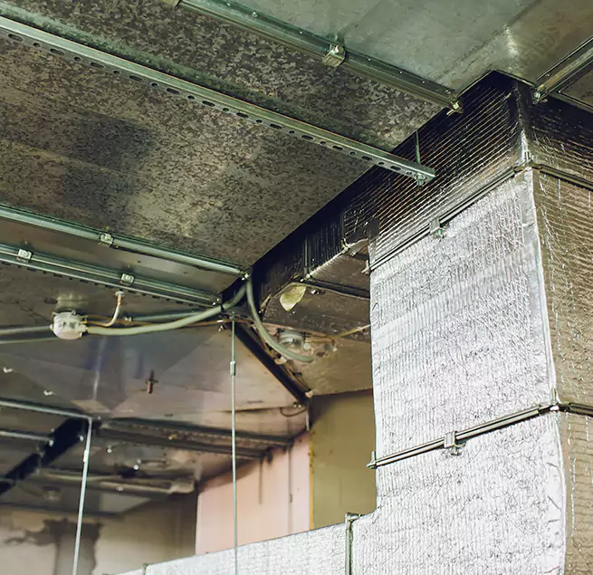 Why Homeowners & Businesses Trust Us in Lakewood, WA?