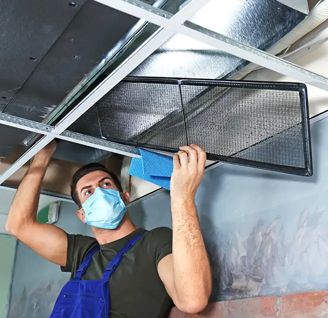 Why Homeowners & Businesses Trust Us in Lakewood, WA?